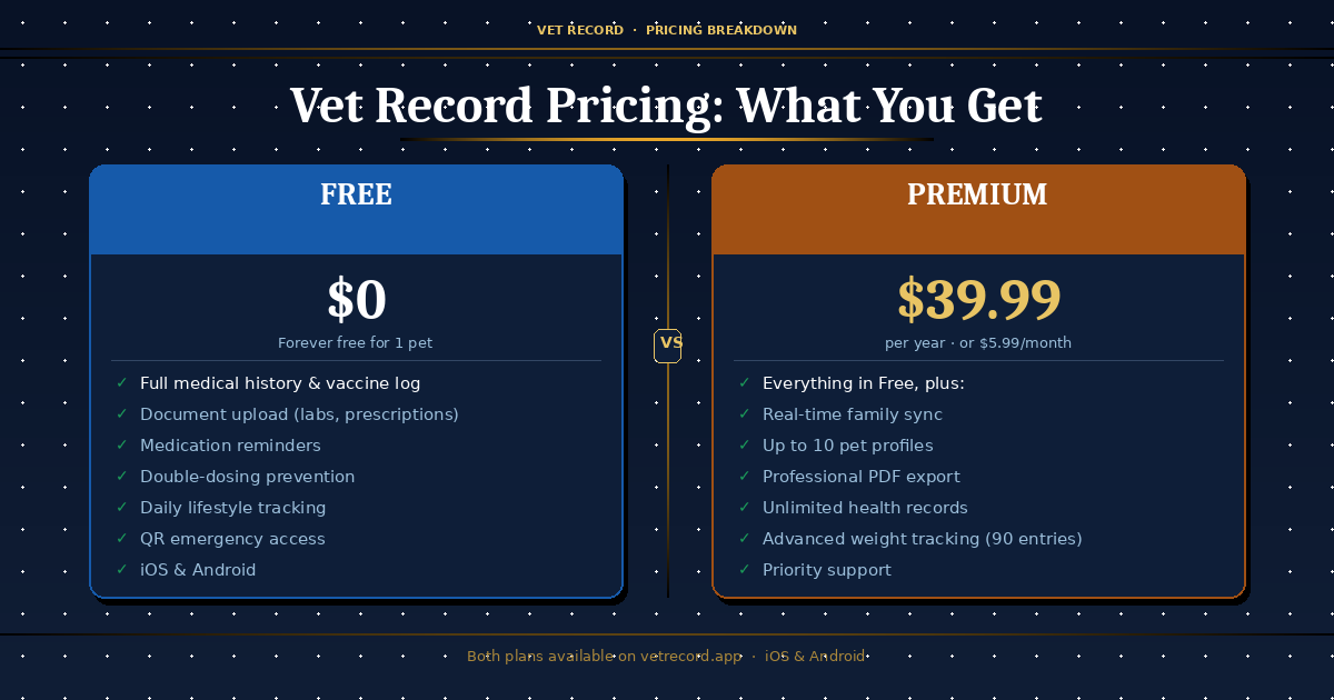 Free vs Premium Pricing
