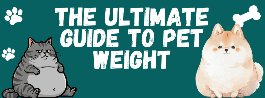 How to Tell if Your Dog is at the Right Weight (and Why the Scale Isn't Enough)