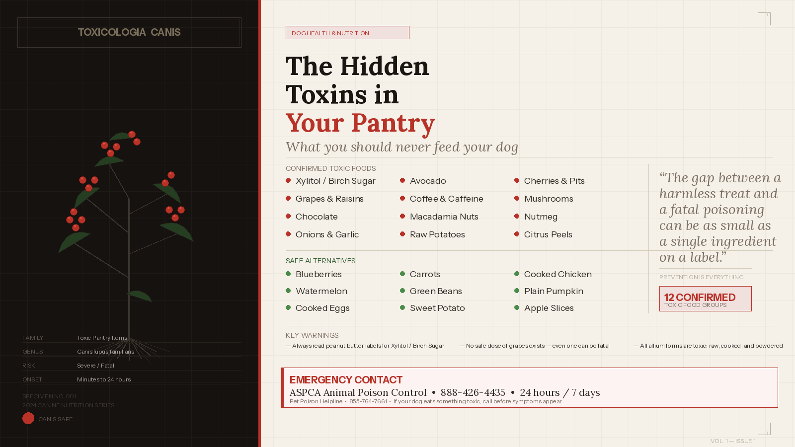 The Hidden Toxins in Your Pantry: What You Should Never Feed Your Dog